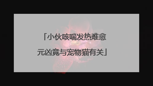 小伙咳喘发热难愈 元凶竟与宠物猫有关